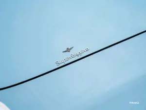 Maserati Others Maserati 3500 GT Frame OFF restauriert Bild 3