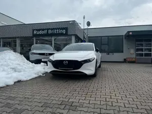 Mazda 3 Benzin 140PS 6GS Homura Navi PDC SHZ Bild 2