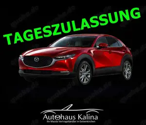 Mazda CX-30 2.5L e-SKYACTIV G 140ps 6AT FWD Homura