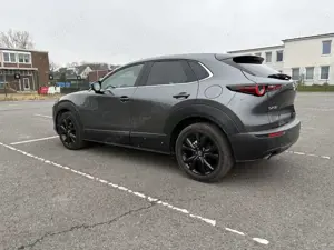 Mazda CX-30 e-SKYACTIV-G 2.0 M HYBRID HOMURA Bild 5
