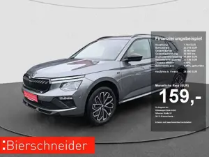 Skoda Kamiq 1.0 TSI DSG Selection NAVI AHK RFK MATRIX PDC KESS