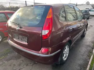 Nissan Almera Tino Bild 4