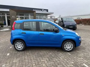 Fiat Panda 1.0 Pandina Icon | Radio | Klima Bild 4