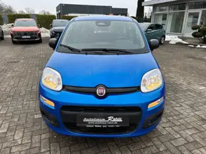 Fiat Panda 1.0 Pandina Icon | Radio | Klima Bild 2