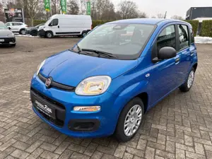 Fiat Panda 1.0 Pandina Icon | Radio | Klima Bild 1