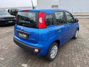 Fiat Panda 1.0 Pandina Icon | Radio | Klima Bild 5