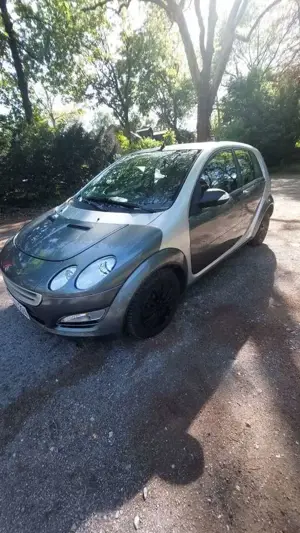 smart forFour pulse