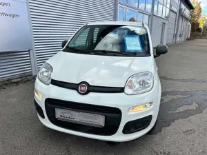 Fiat Panda /Pandina Panda 1.0 GSE Hybrid Bild 2