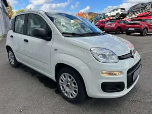 Fiat Panda /Pandina Panda 1.0 GSE Hybrid Bild 3