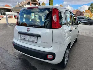 Fiat Panda /Pandina Panda 1.0 GSE Hybrid Bild 5
