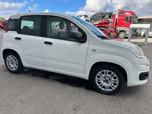Fiat Panda /Pandina Panda 1.0 GSE Hybrid Bild 4