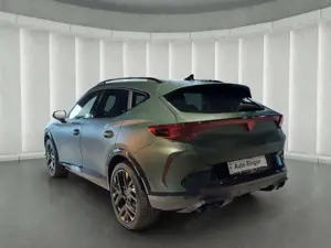 CUPRA Formentor VZ Tribe Edition 2.0TSI SENNH.PURE PERFORMANCE Bild 5