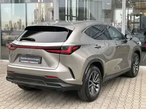 Lexus NX 350h Executive Line*inkl. WR*360° Kamera* Bild 5