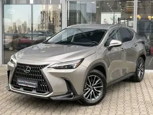 Lexus NX 350h Executive Line*inkl. WR*360° Kamera* Bild 2