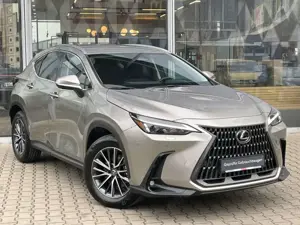 Lexus NX 350h Executive Line*inkl. WR*360° Kamera* Bild 3