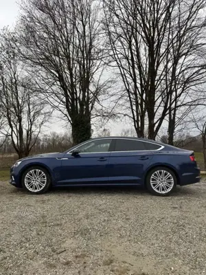 Audi A5 Sportback 3.0 TDI quattro S tronic sport Bild 2