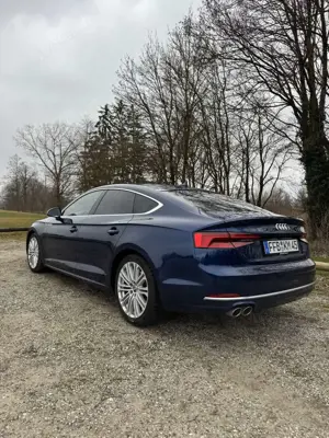 Audi A5 Sportback 3.0 TDI quattro S tronic sport Bild 3