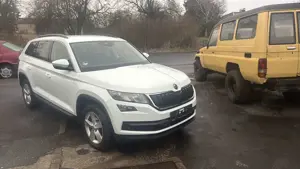 Skoda Kodiaq Ambition 4x4 Bild 1