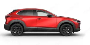 Mazda CX-30 Homura 2.5L Automatik 140ps *ACC/KAMERA/SHZ/ACAA*