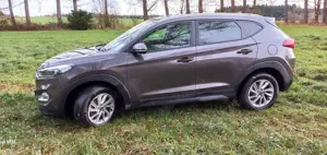 Hyundai TUCSON blue Intro Edition 2WD Bild 5