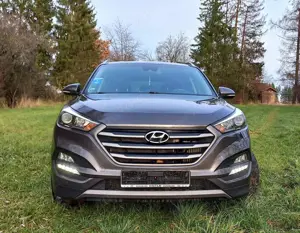 Hyundai TUCSON blue Intro Edition 2WD Bild 2