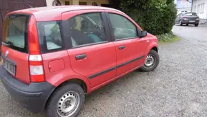 Fiat Panda Panda