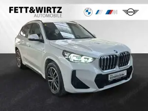 BMW X1 sDrive18i M Sportpaket|Parkass.|18"LMR