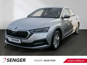 Skoda Octavia 2.0 TDI DSG Nav AHK PDC SMART LINK