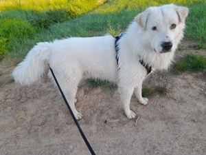 Das Beste aus zwei Welten gesucht suche gilt Deutschland weit 