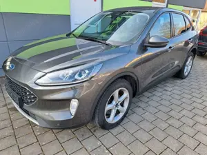 Ford Kuga Bild 2