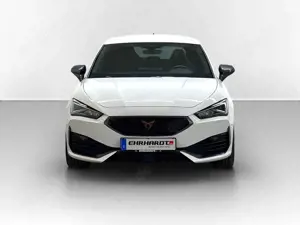 CUPRA Leon 2.0 TSI DSG VZ DCC LED*VIRTUAL*NAV*ACC*SHZ*PARK... Bild 2