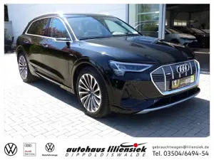 Audi e-tron 55 quattro 300 KW S line *LED*PDC*BO*