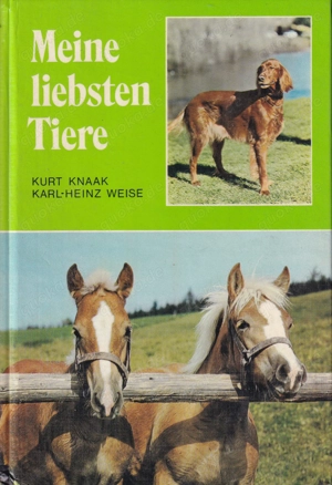 Meine liebsten Tiere 