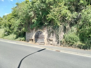 Natürlicher Gewölbekeller Wein- Most- Partykeller Lager Bunker Bild 6