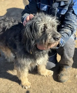 Oliver - wartet schon viel zu lange - hofft auf ein besseres Leben