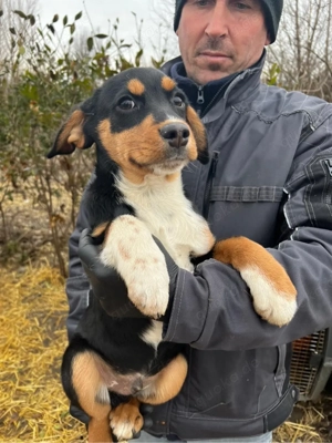 Lego sucht ein Zuhause