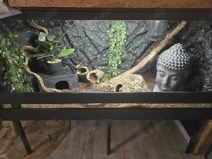 Terrarium Komplett mit Zubehör 