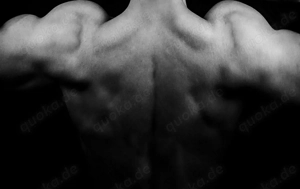 Auf der Suche nach einer Big Beautiful Woman