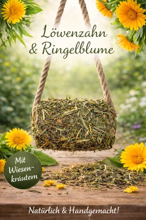 Knabberholz Pferd Shetty *Magenwohl*