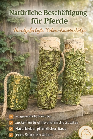 Knabberholz Pferd Magen und Darm Set