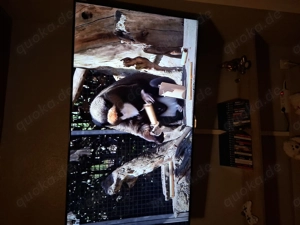 Verkaufe Samsung Fernseher 55Zoll