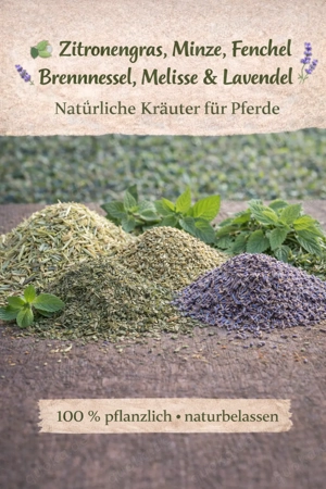 Knabberholz Pferd *Frühlingswiese* Bild 2