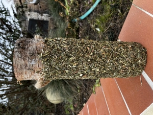 Knabberholz Pferd *Frühlingswiese* Bild 4
