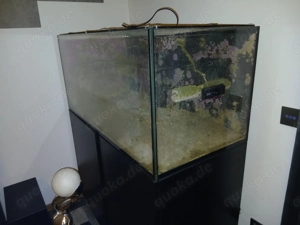 Red Sea Reefer 425 XL Aquarium Bild 2