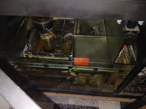 Red Sea Reefer 425 XL Aquarium Bild 3