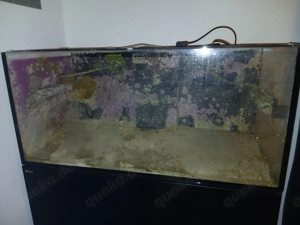 Red Sea Reefer 425 XL Aquarium