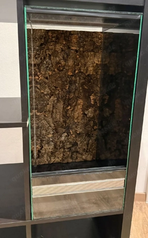 Glas-Terrarium passend für IKEA KALLAX (2 Fächer)