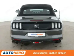 Ford Mustang 2.3 EcoBoost Convertible Basis Aut.*NAV*XENON*CAM* Bild 5
