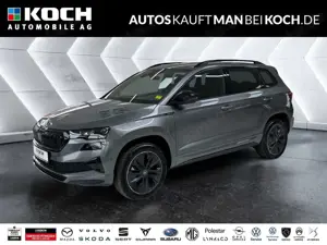 Skoda Karoq 1.5 TSI DSG SPORTLINE AHK WINTER+ NAVI 360K