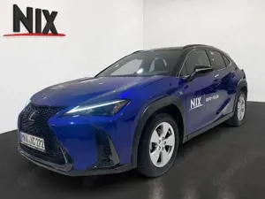 Lexus UX 300h 2.0 Hybrid F-Sport Design Two-Tone